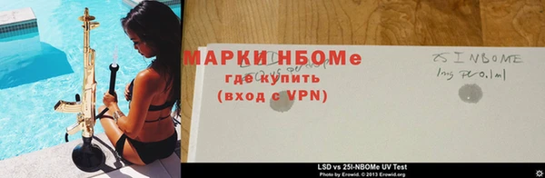 индика Надым