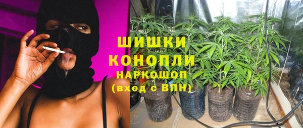 PSILOCYBIN Алексеевка