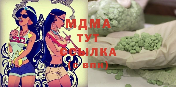 мет Алексин