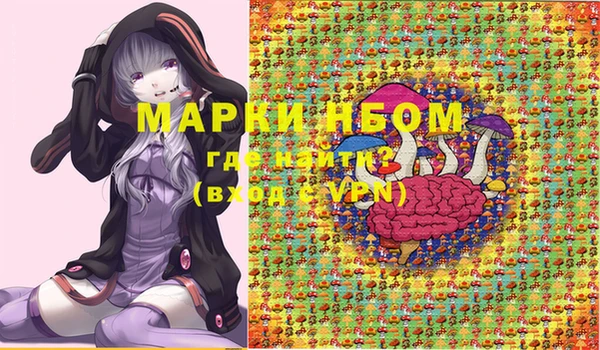 мет Алексин
