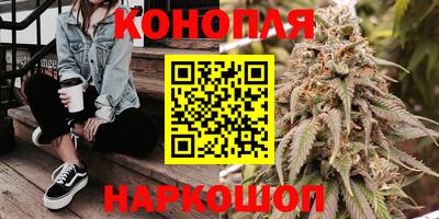 apvp Заводоуковск