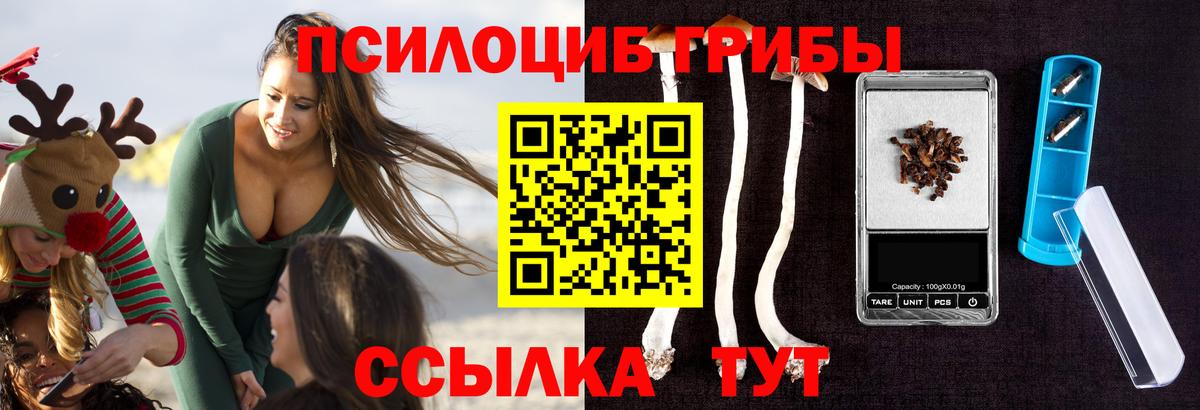 Ржев  Псилоцибиновые грибы Cubensis  Вход с VPN 
